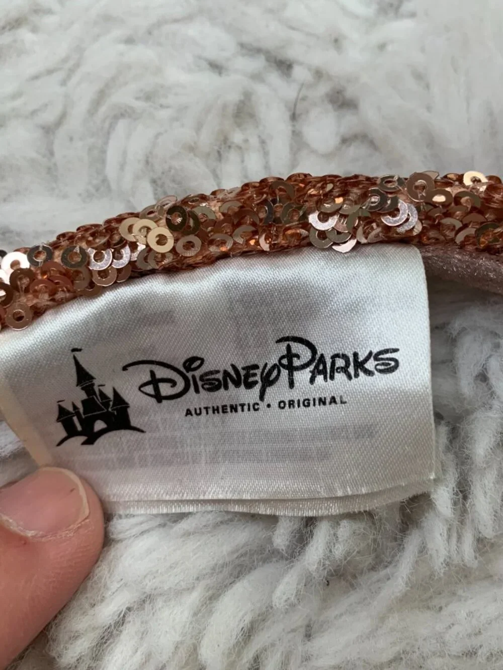Disney tokyo resort